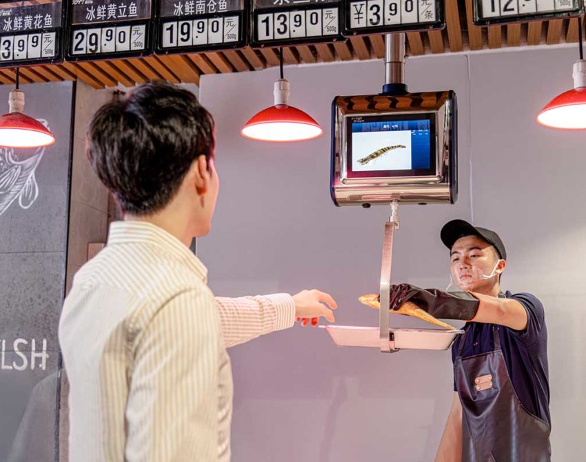 Vertical Hanging Scales, Trusted by everyone | High Dream