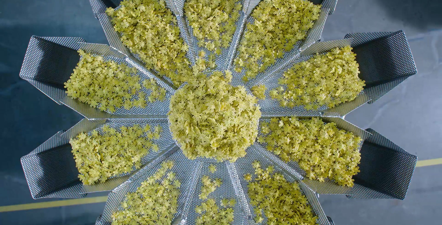 Accurate and Efficient Weighing for Workshops | High Dream