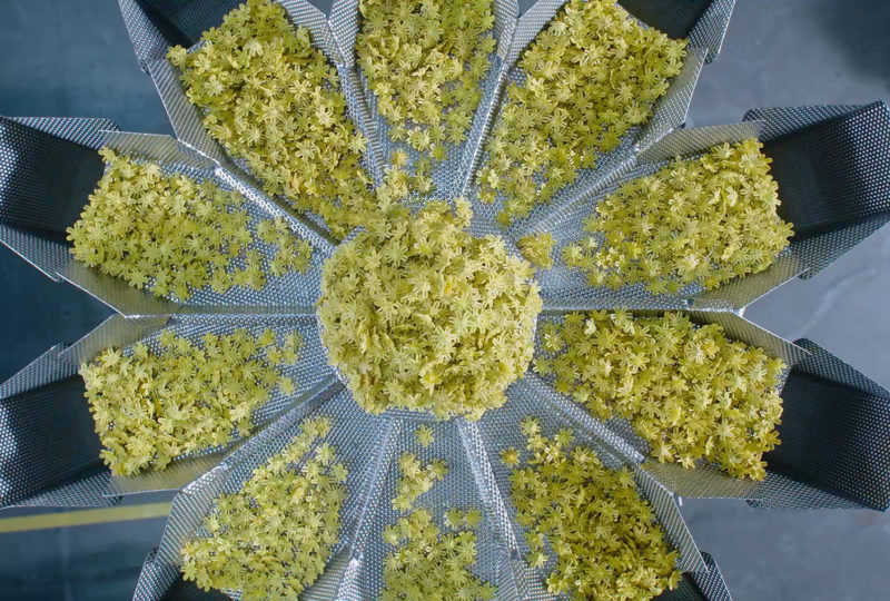 Accurate and Efficient Weighing for Workshops | High Dream