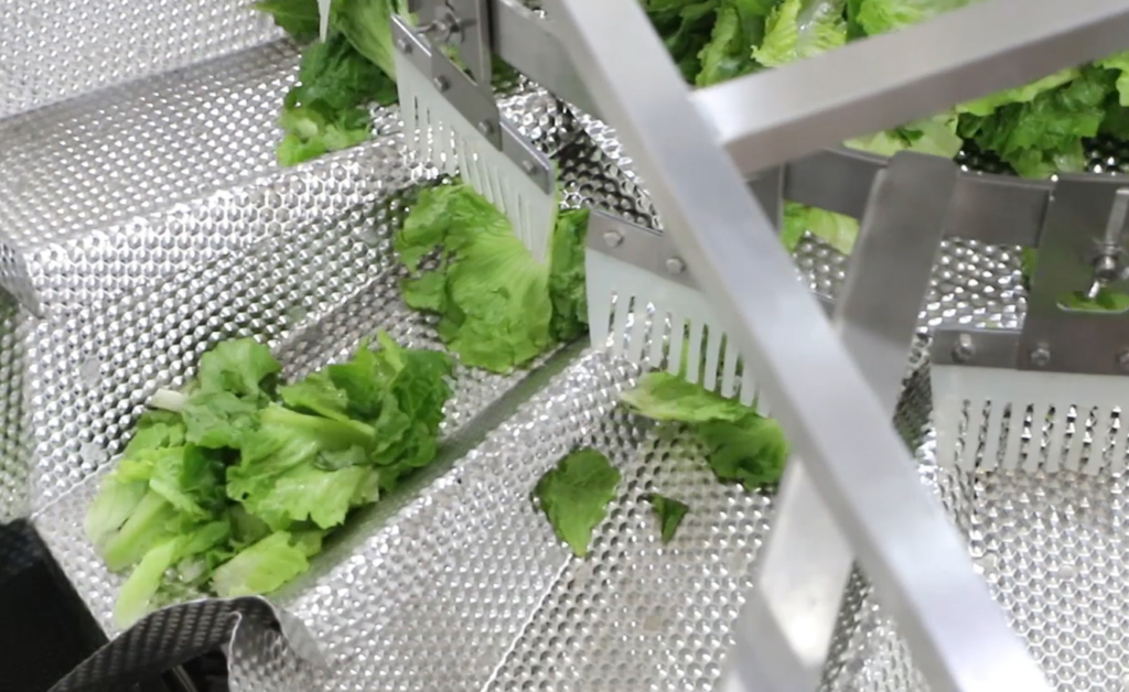 Salads & Fresh Cut Vegetables | High Dream