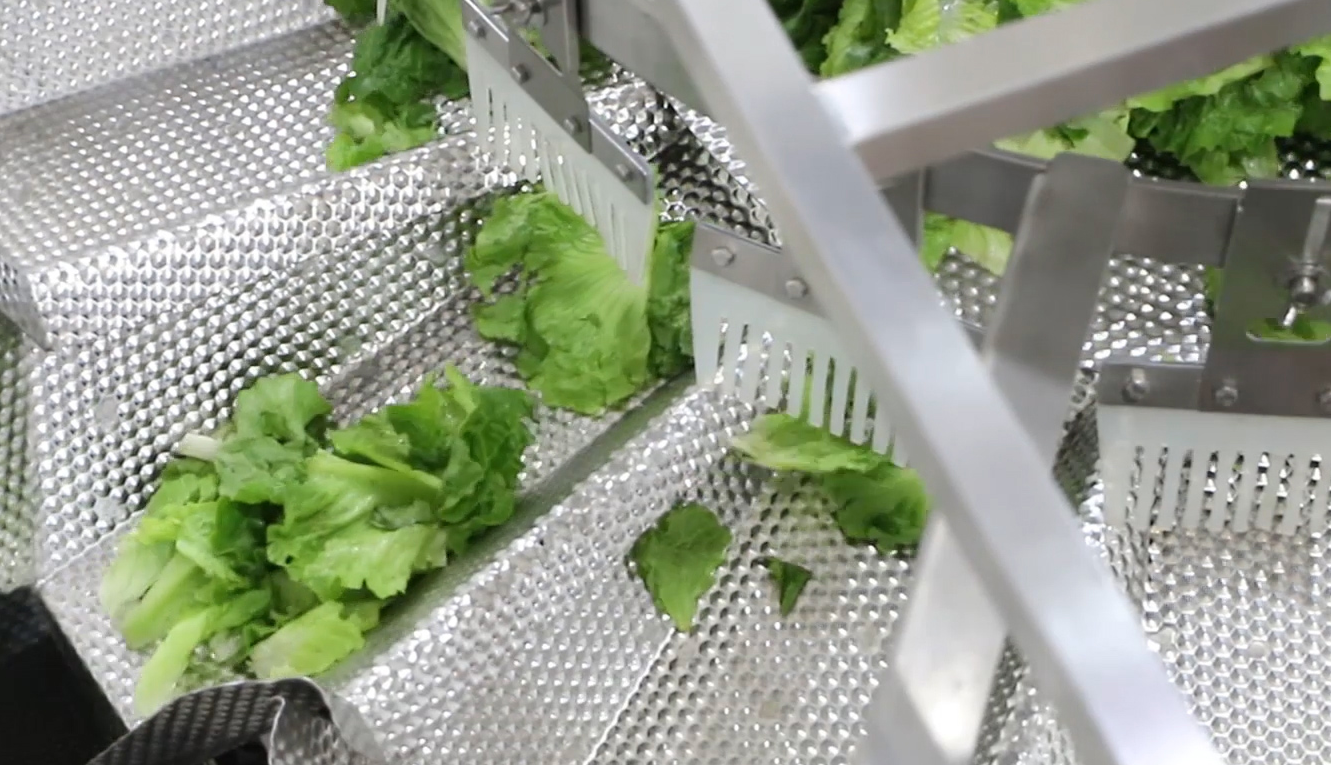 Salads & Fresh Cut Vegetables | High Dream