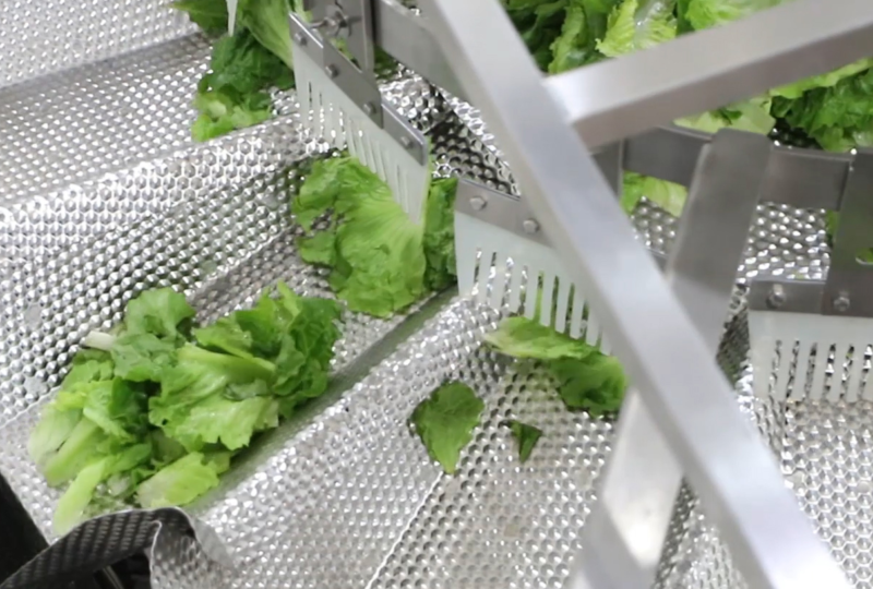 Salads & Fresh Cut Vegetables | High Dream